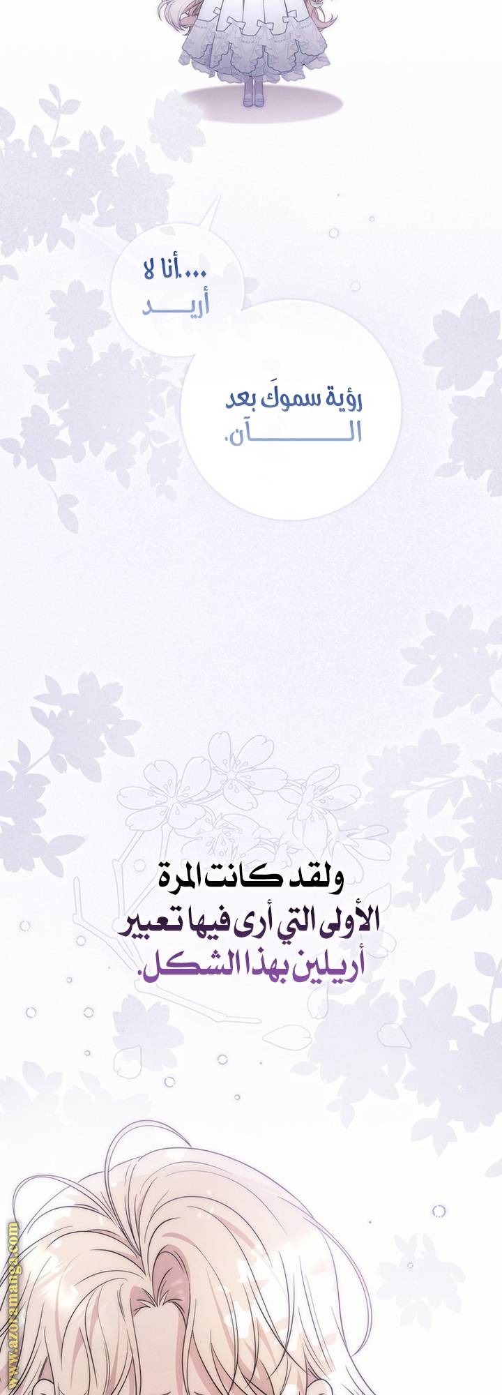 الصفحة 41