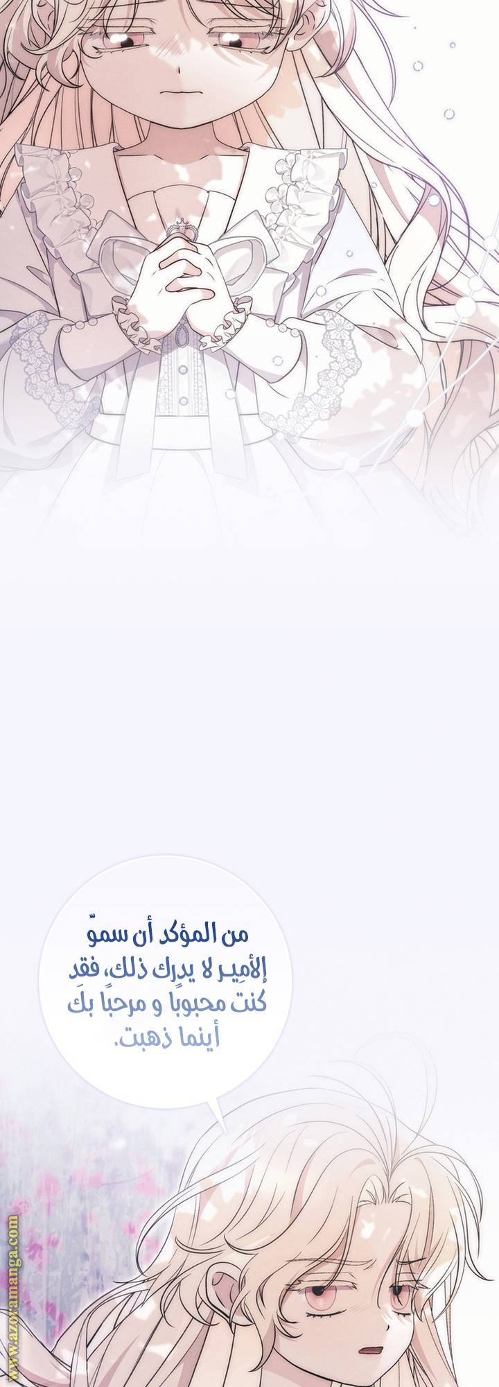 الصفحة 42