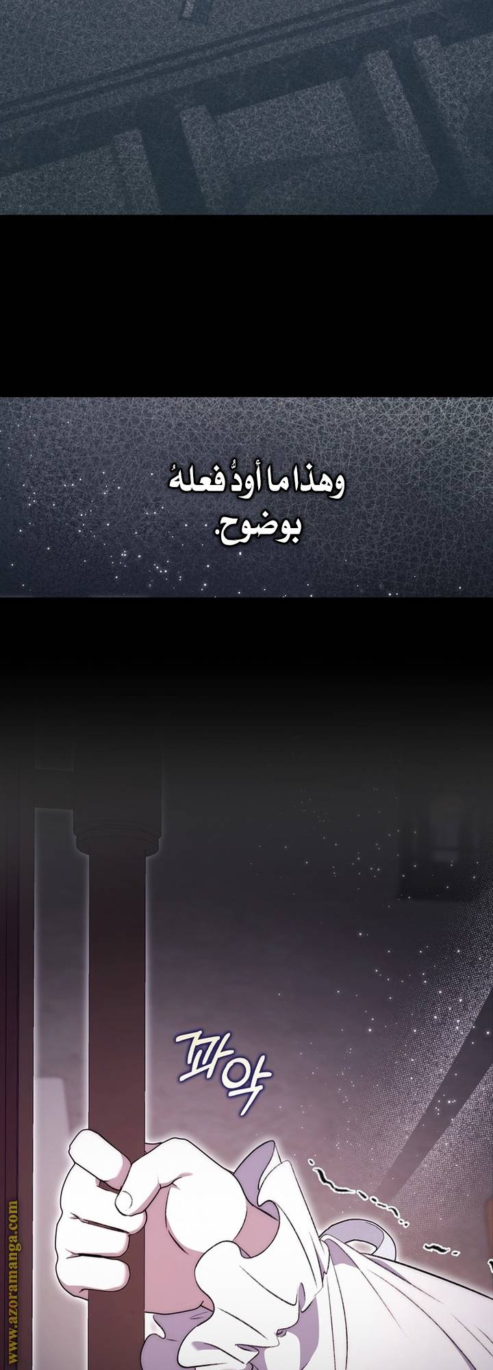 الصفحة 61