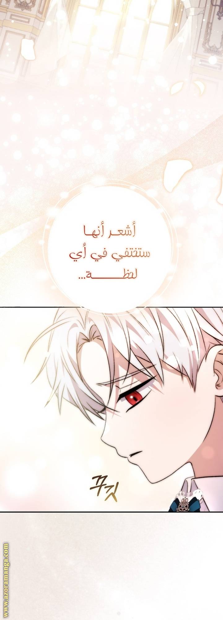 الصفحة 16