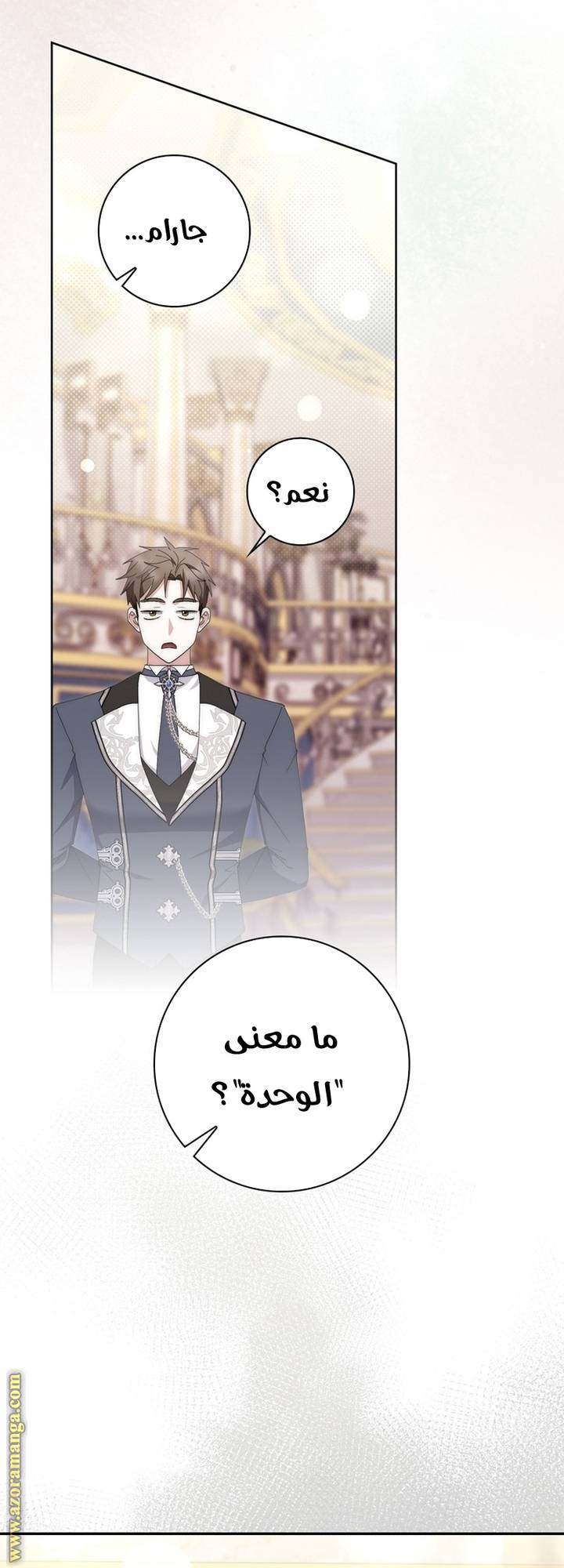 الصفحة 17