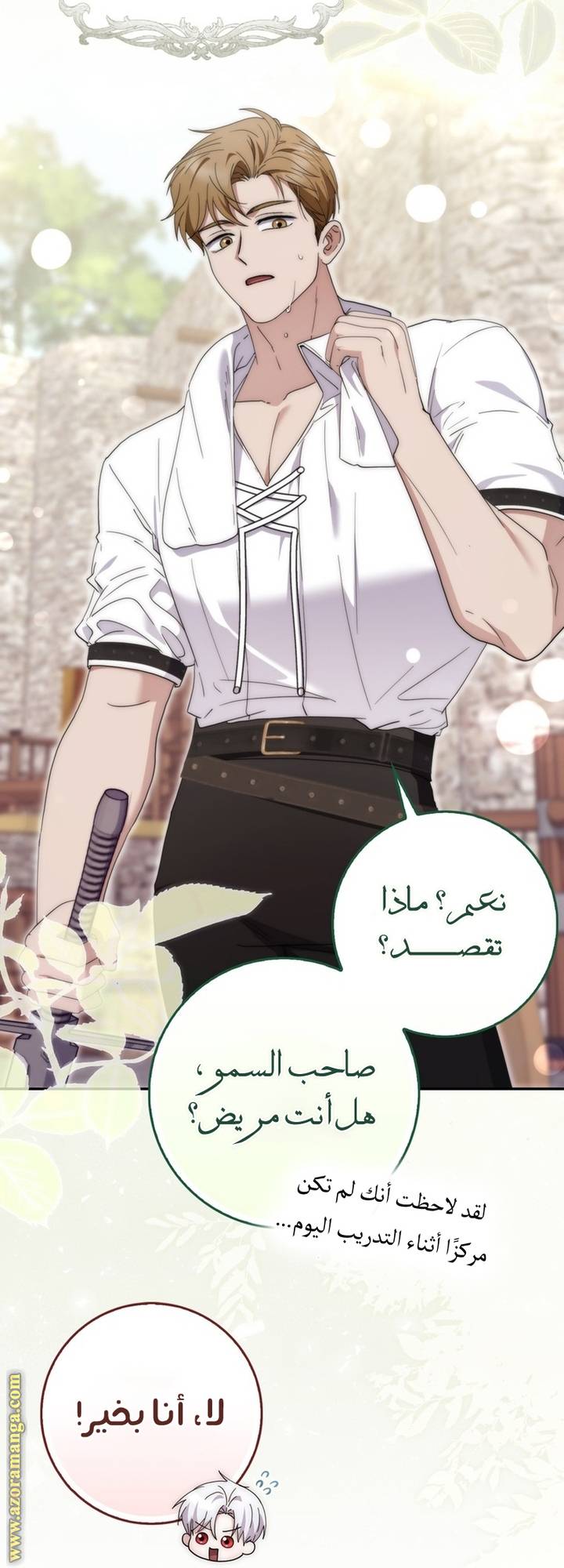 الصفحة 27