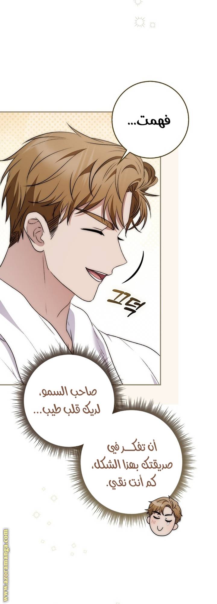 الصفحة 29