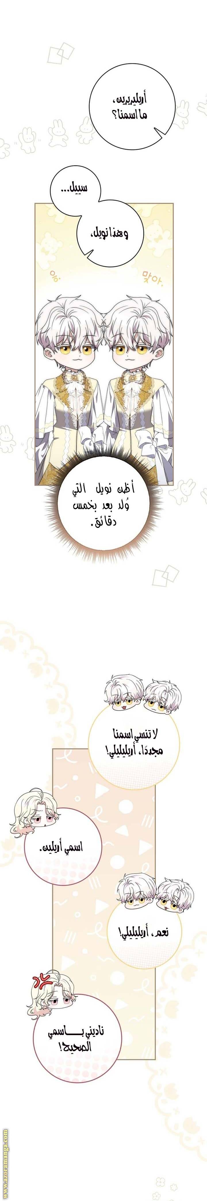 الصفحة 21