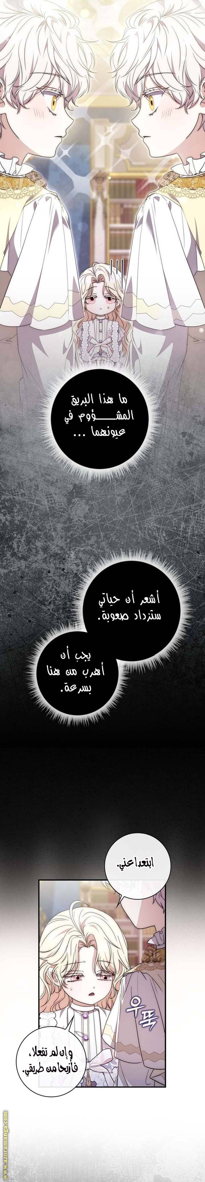 الصفحة 26