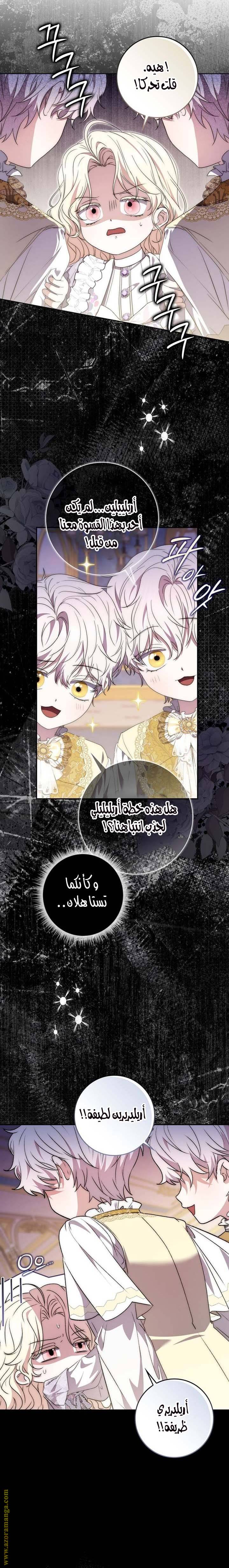الصفحة 27