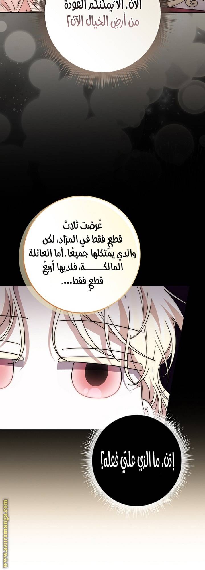 الصفحة 24