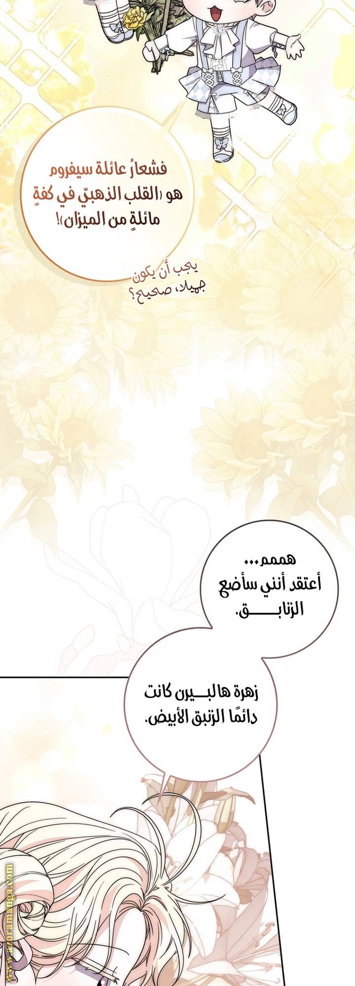 الصفحة 29