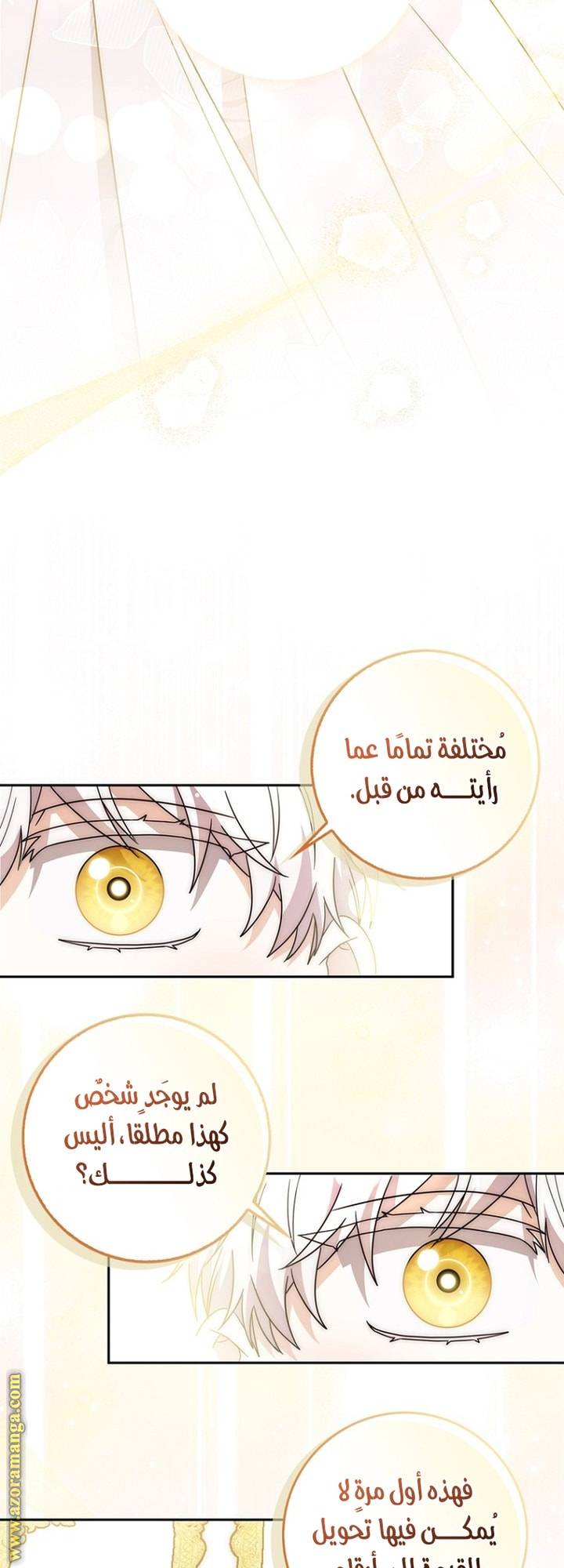 الصفحة 53