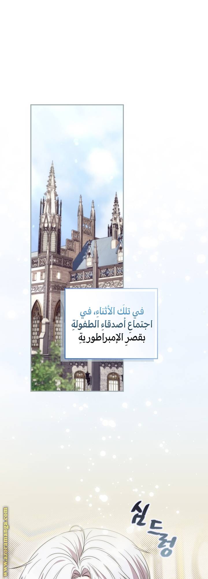الصفحة 17