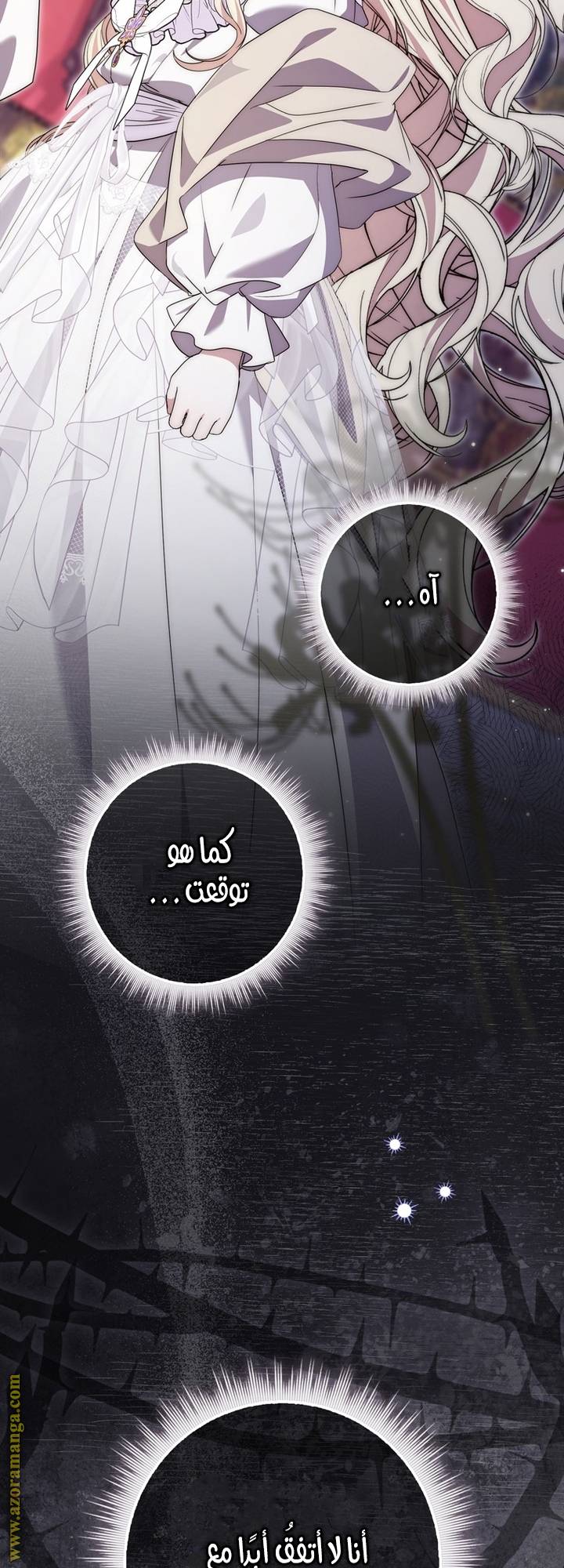 الصفحة 45