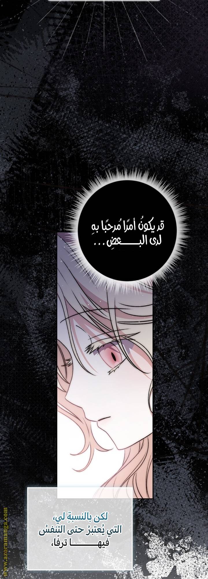 الصفحة 47