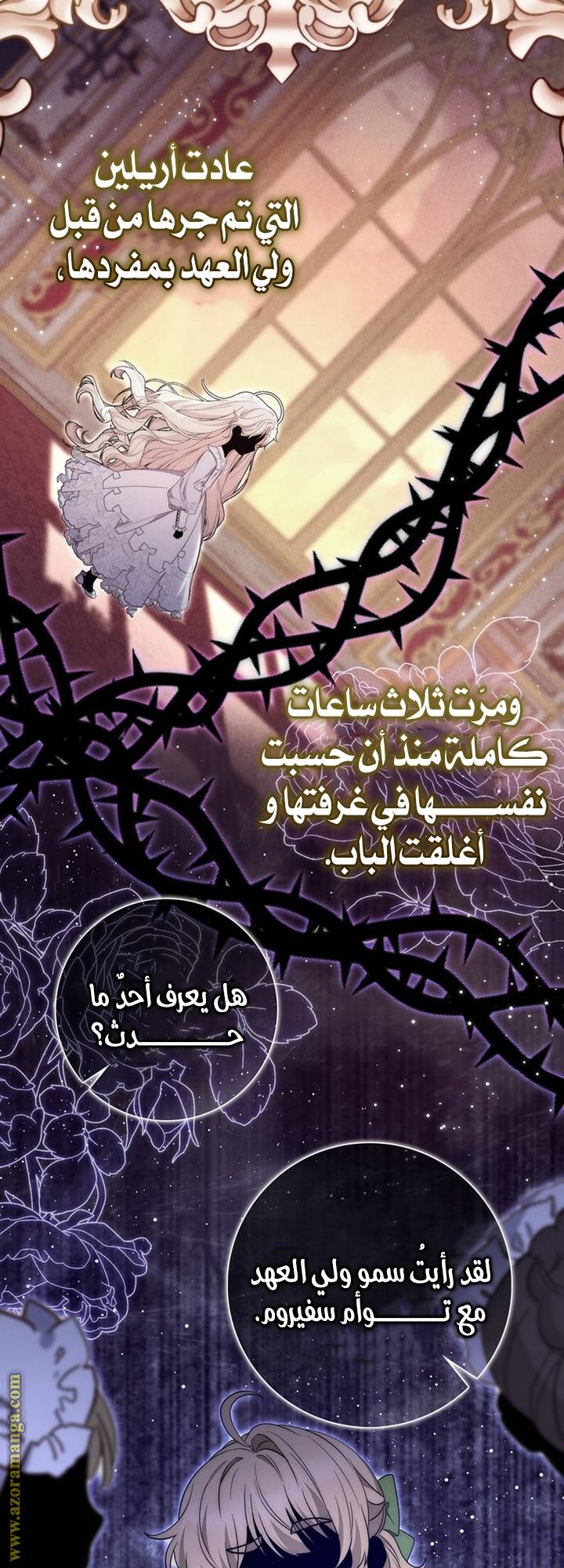 الصفحة 14