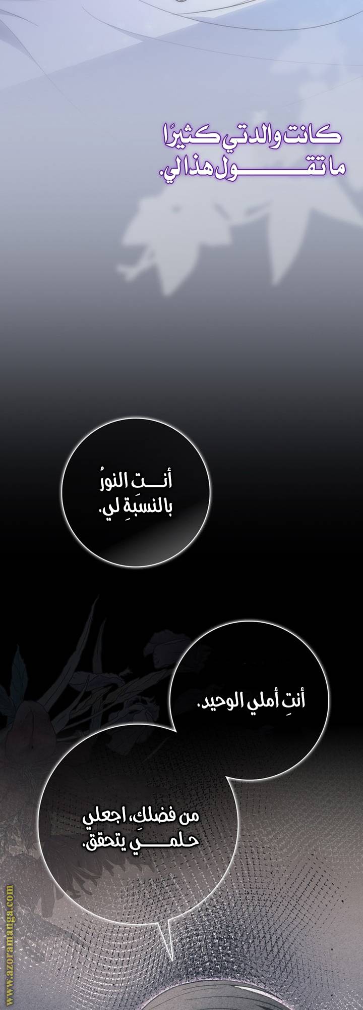 الصفحة 41