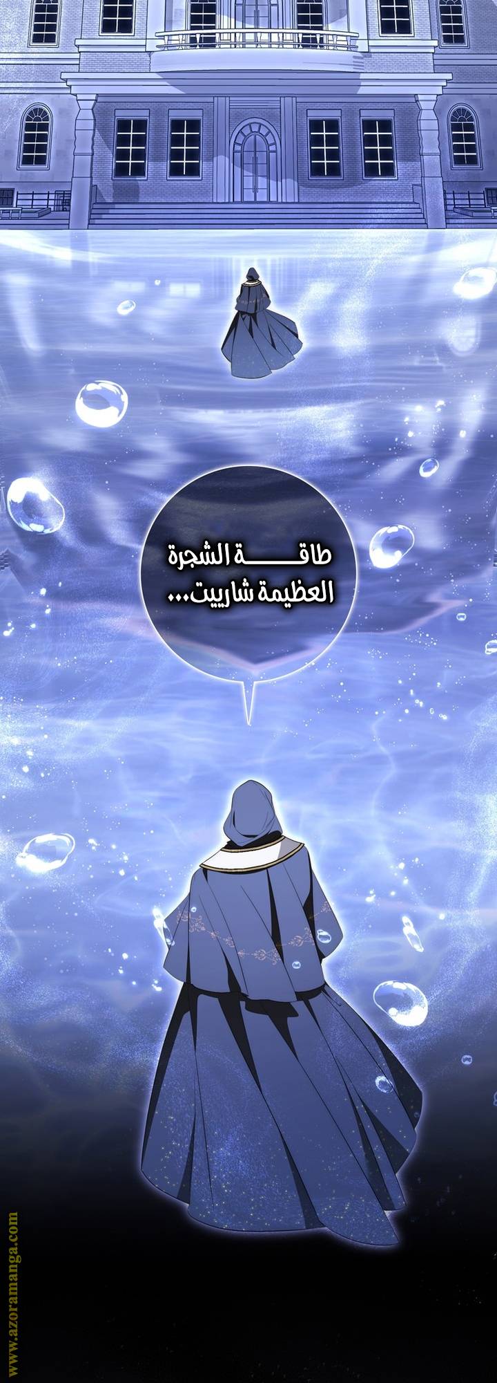 الصفحة 13
