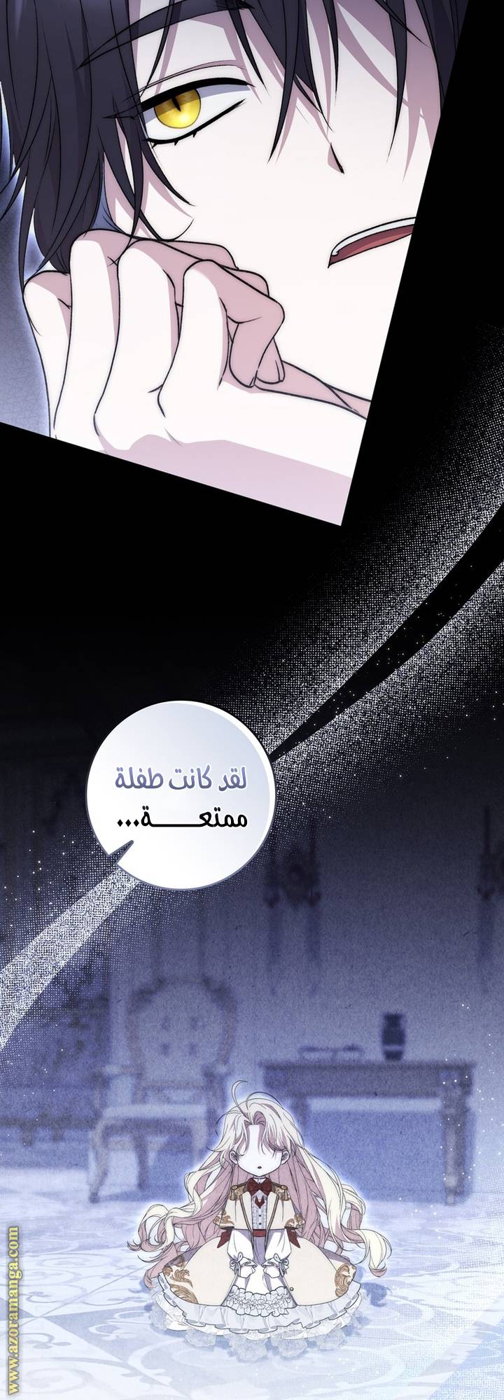 الصفحة 17