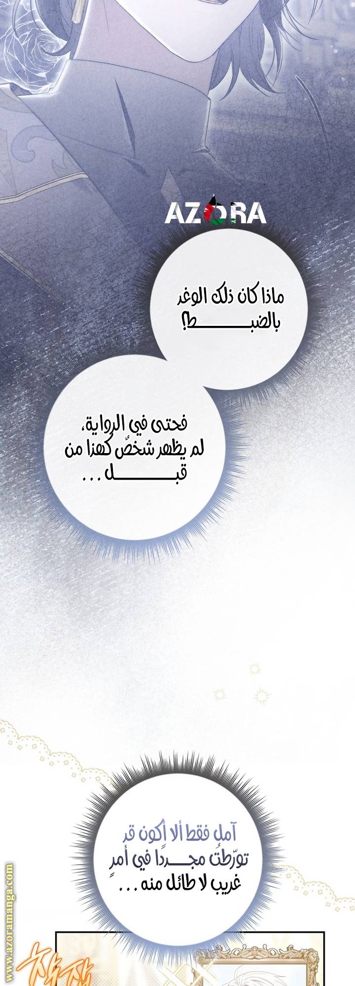 الصفحة 26