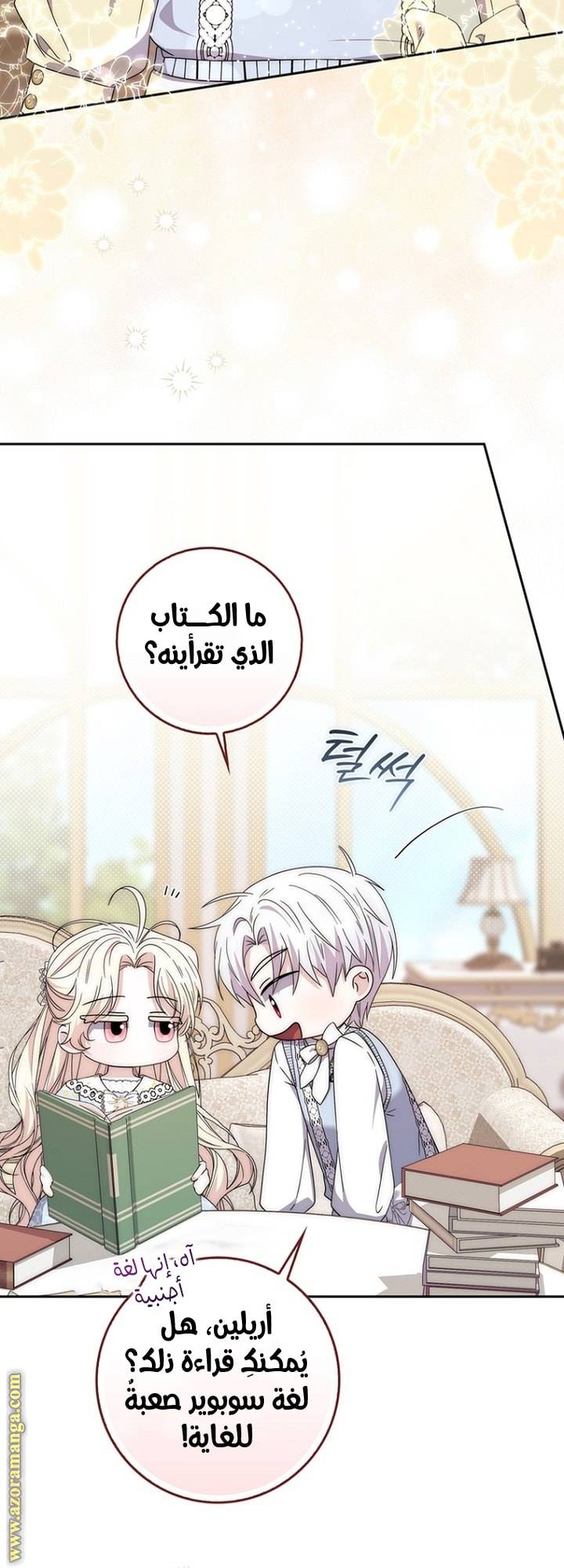 الصفحة 17