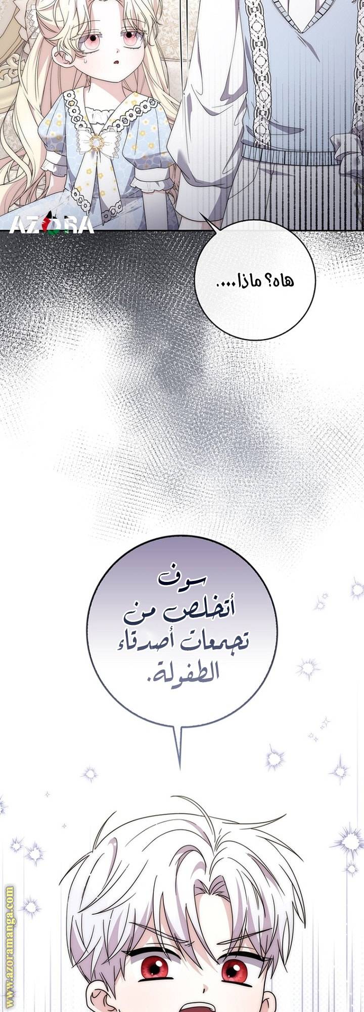 الصفحة 27