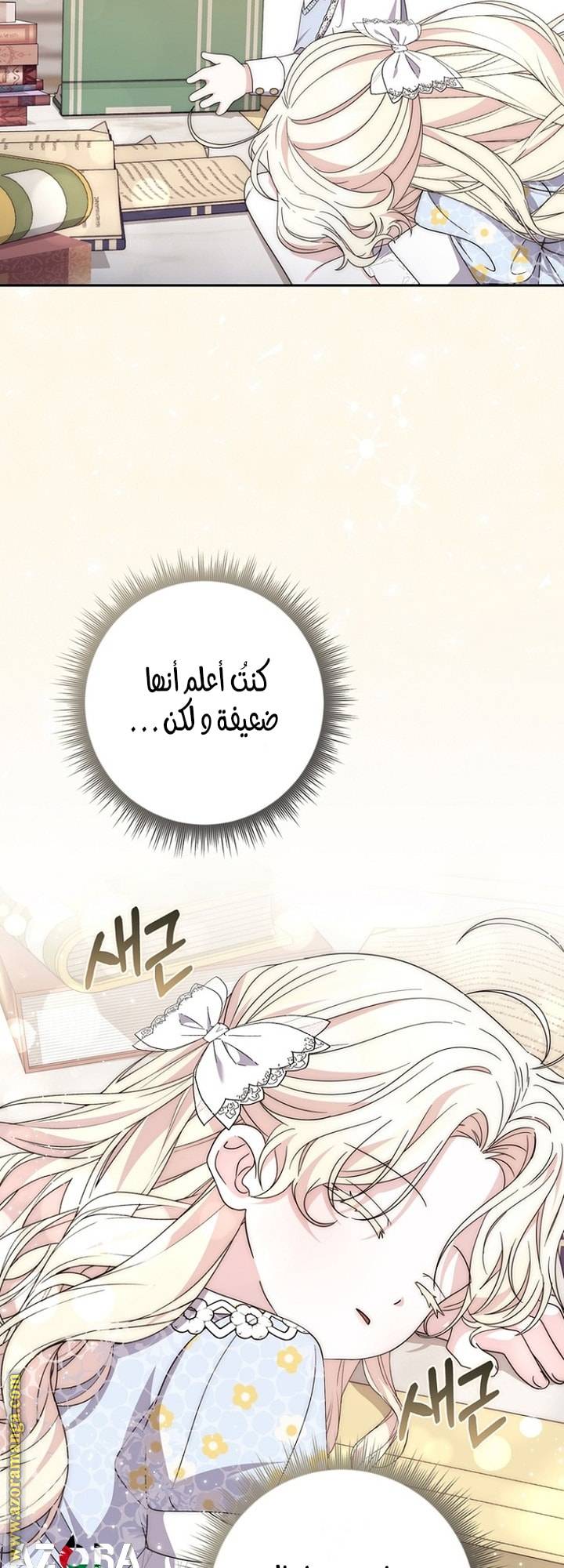 الصفحة 49