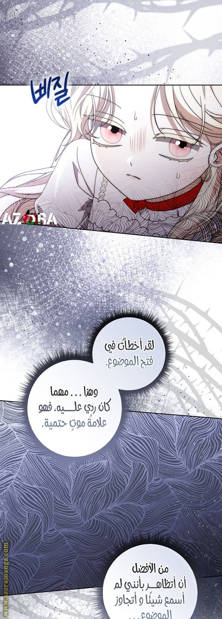 الصفحة 27