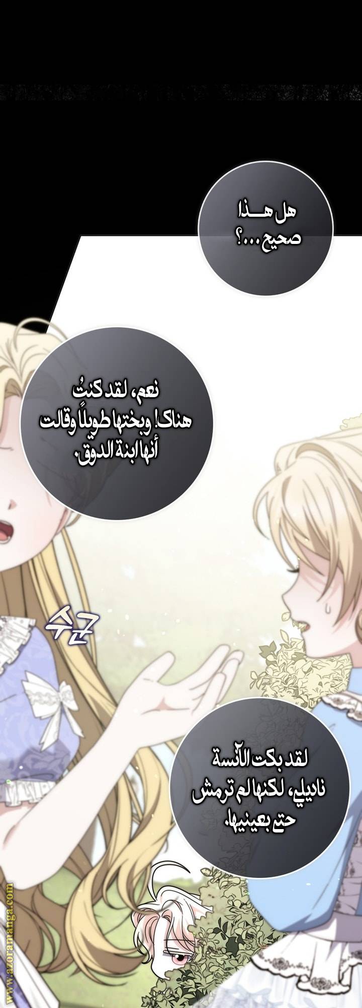 الصفحة 30