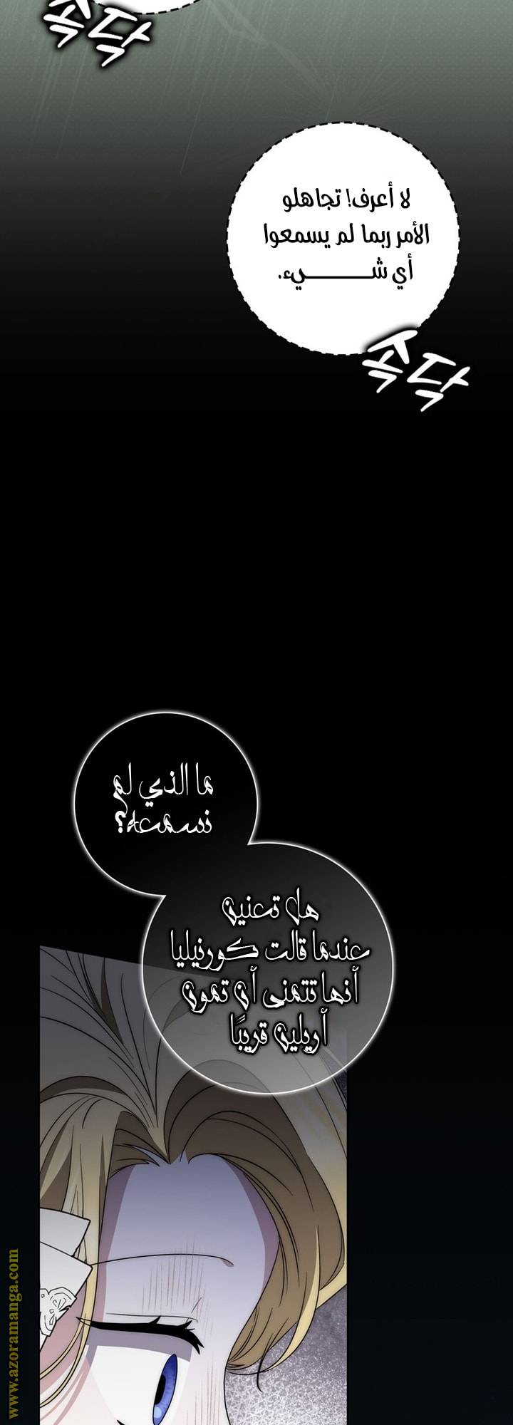 الصفحة 48