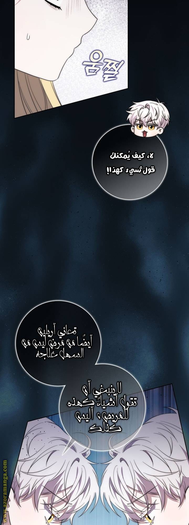 الصفحة 49