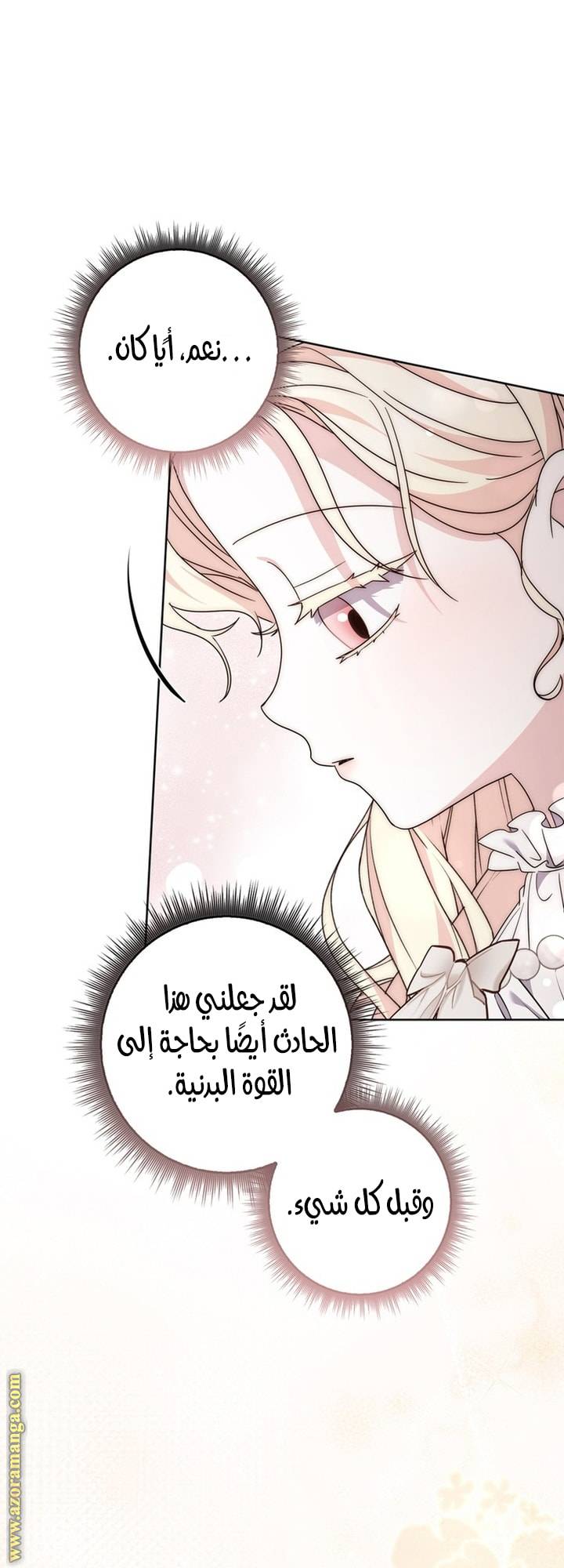 الصفحة 24