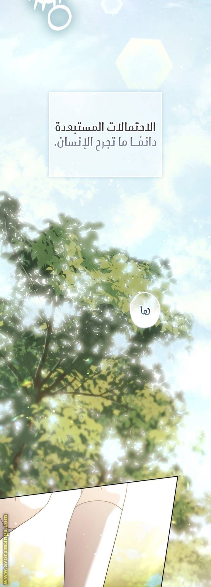 الصفحة 28