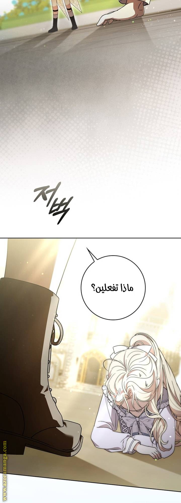 الصفحة 31