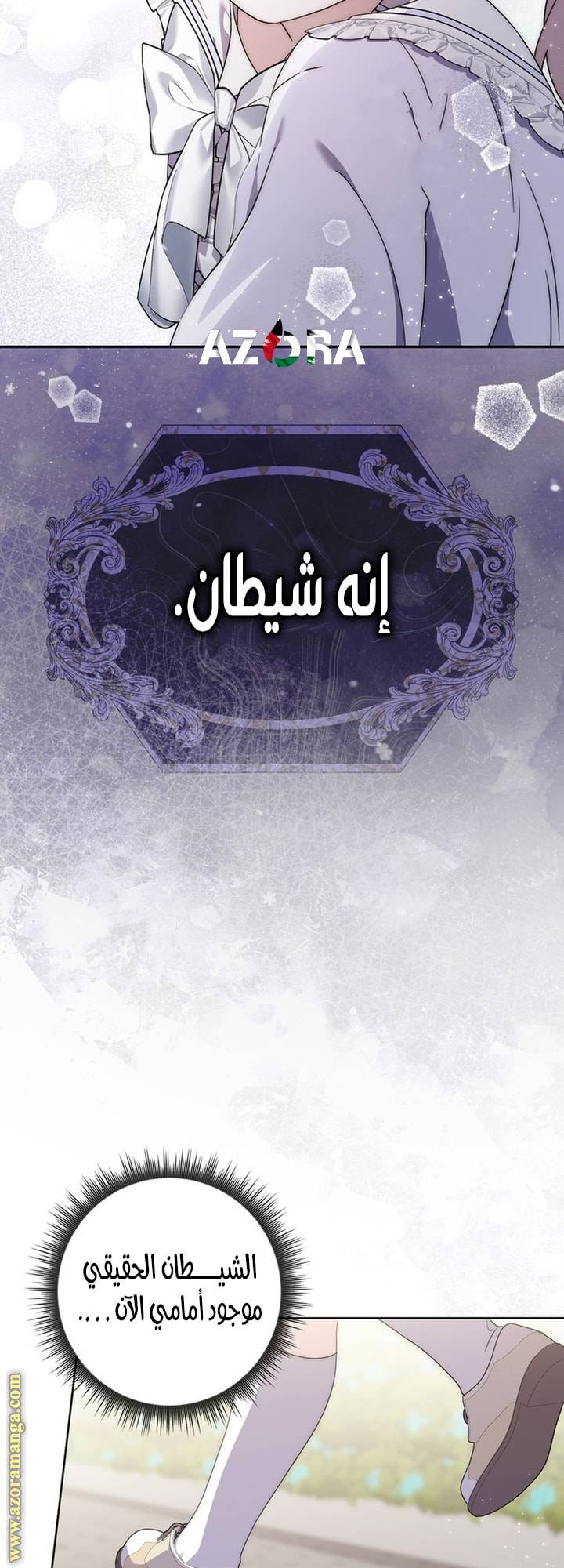 الصفحة 43