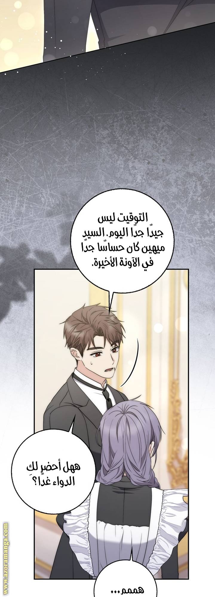 الصفحة 17