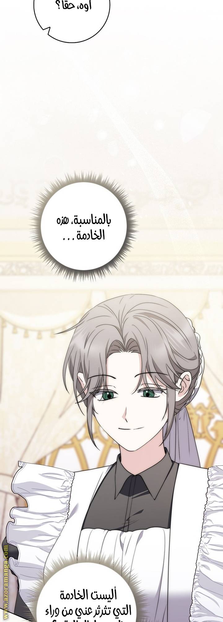 الصفحة 43
