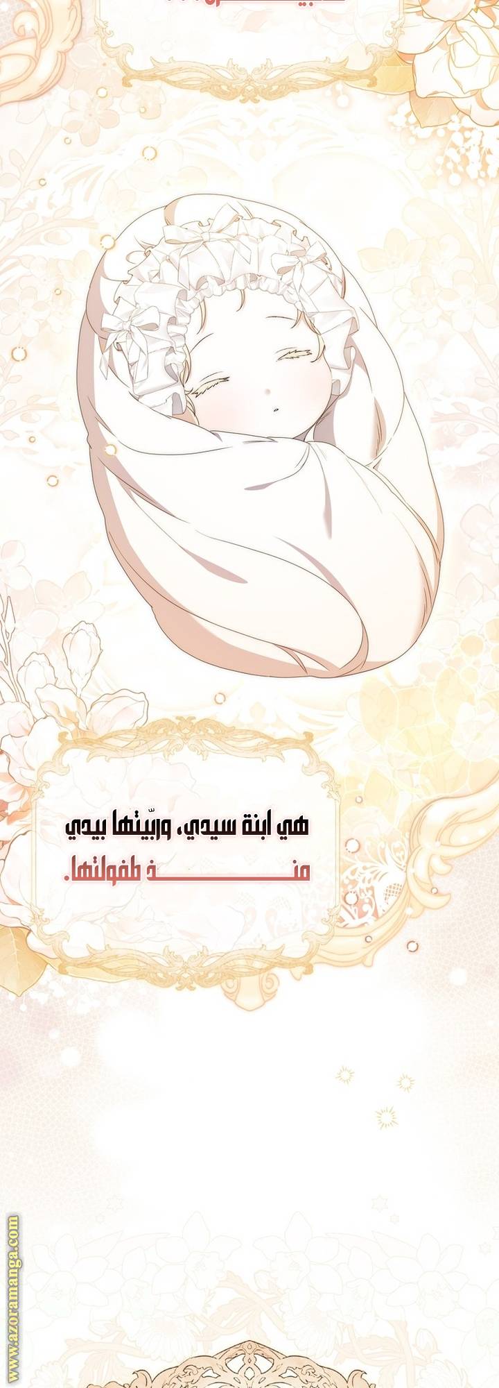 الصفحة 17