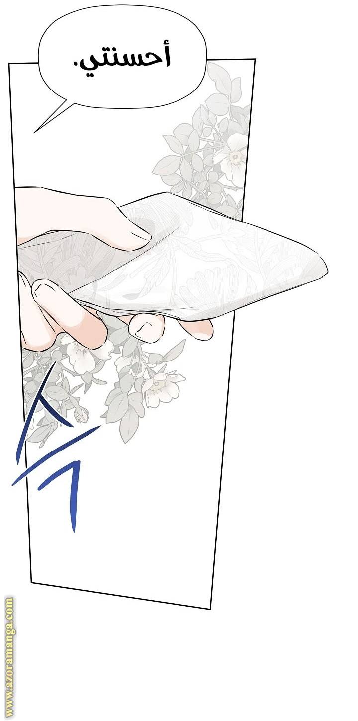 الصفحة 38