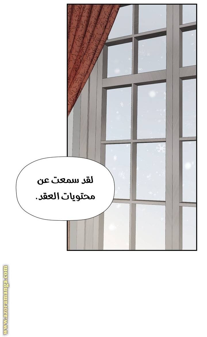 الصفحة 43