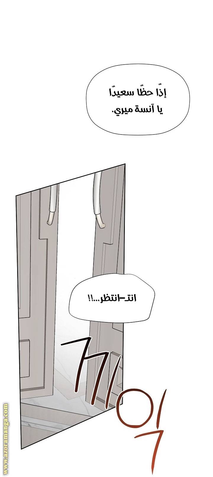 الصفحة 52