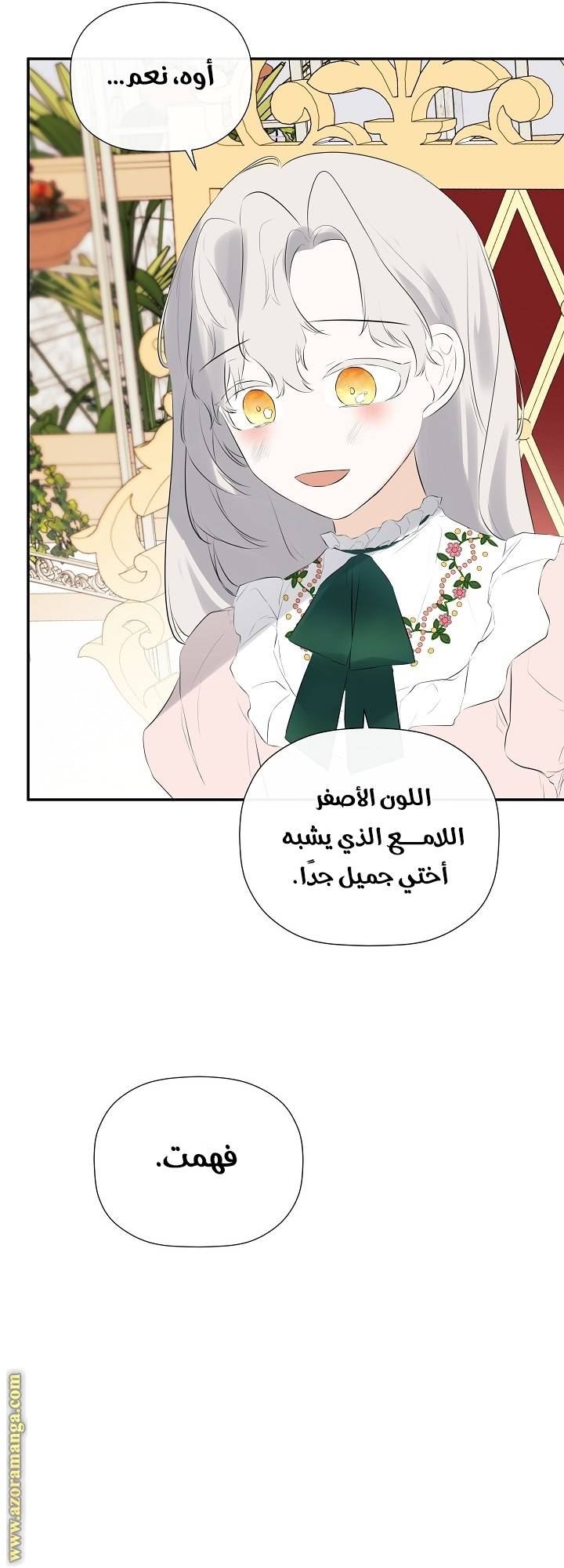 الصفحة 17