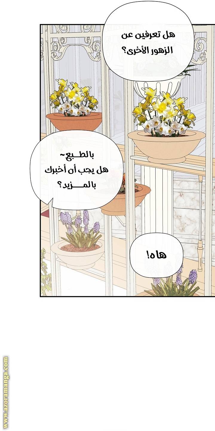 الصفحة 24