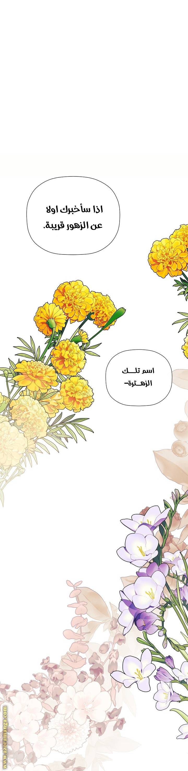 الصفحة 28