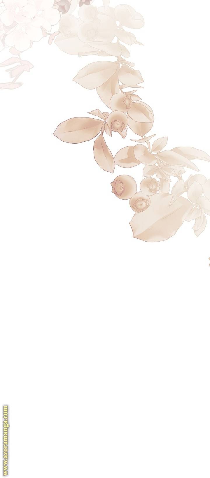 الصفحة 29