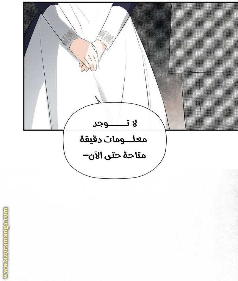 الصفحة 26