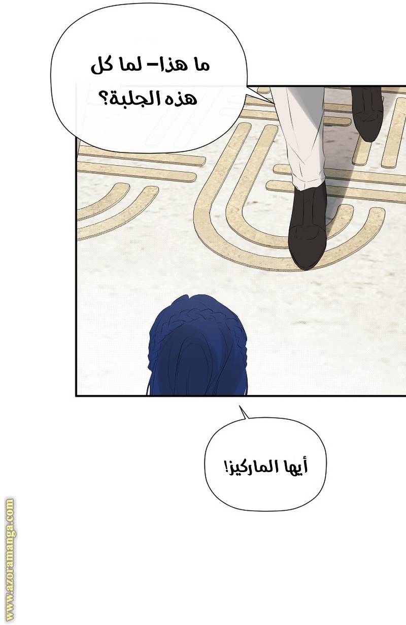 الصفحة 55
