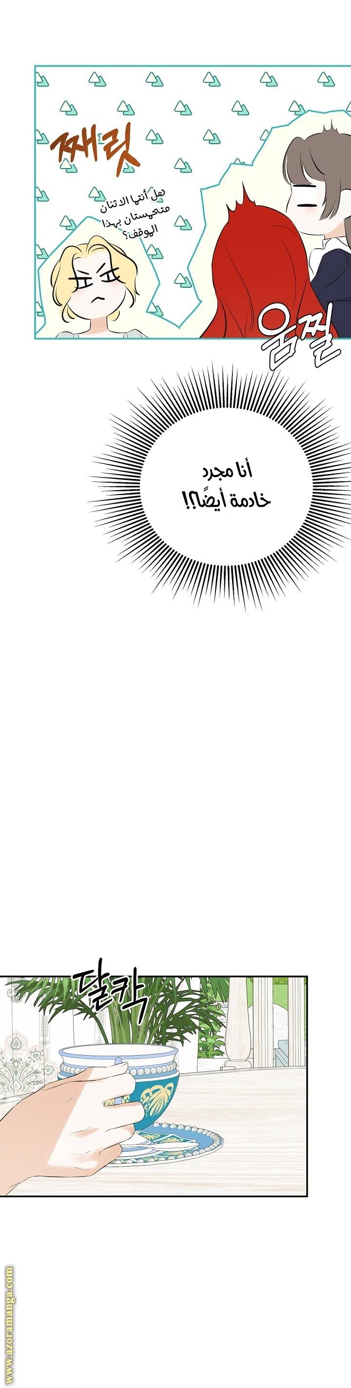 الصفحة 12