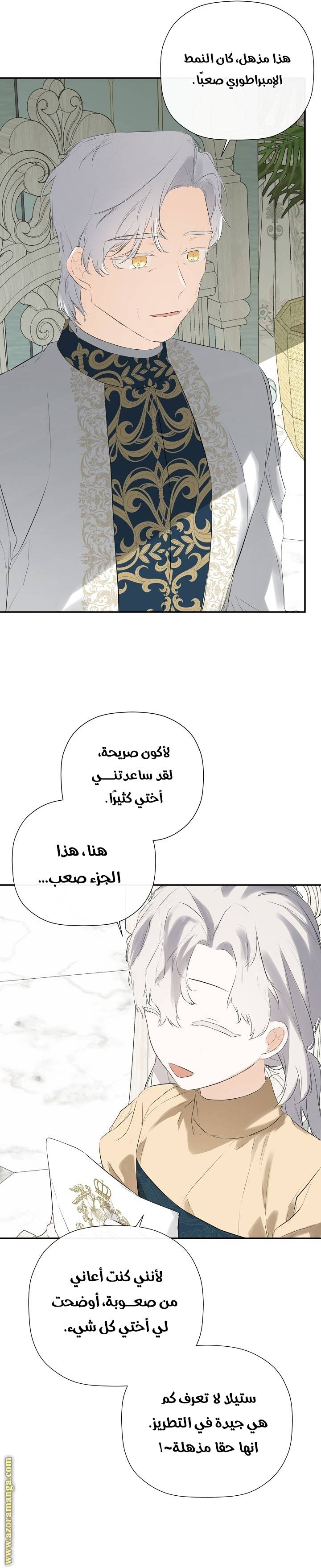 الصفحة 17