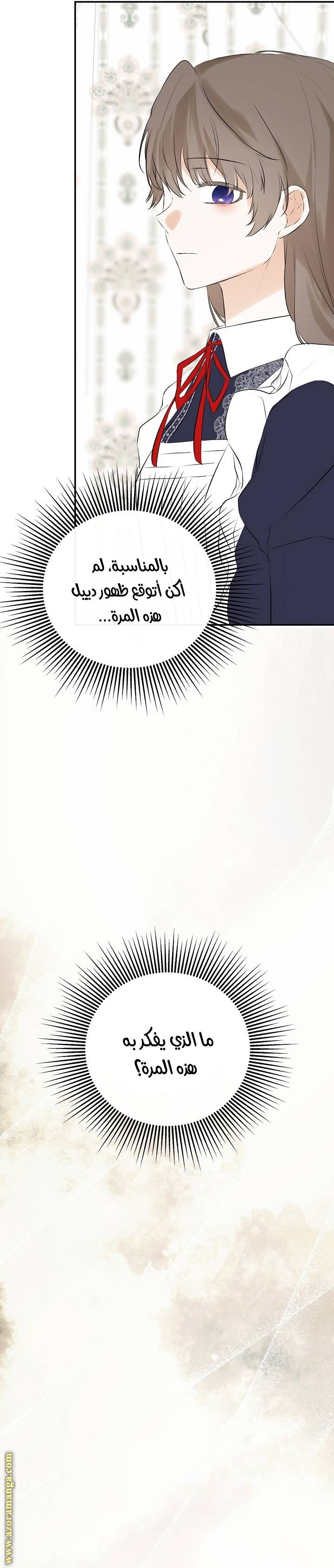 الصفحة 25