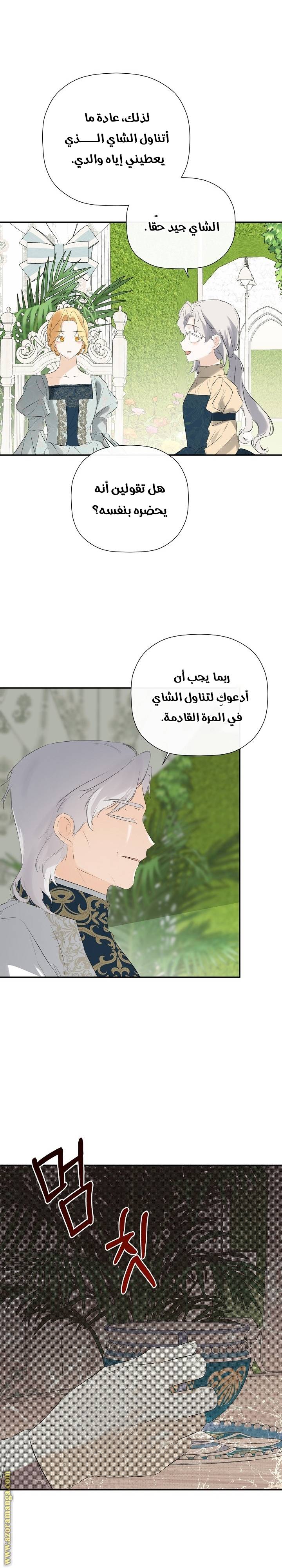 الصفحة 27