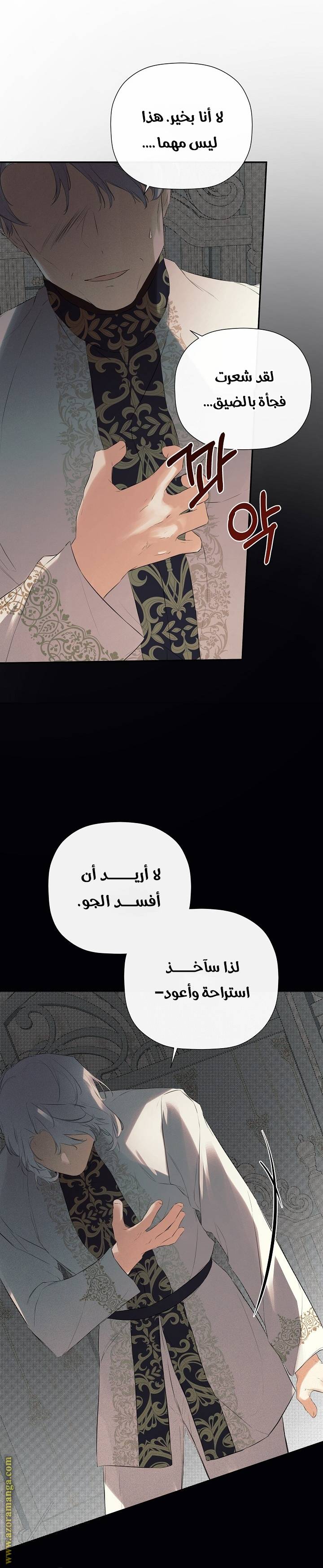 الصفحة 29