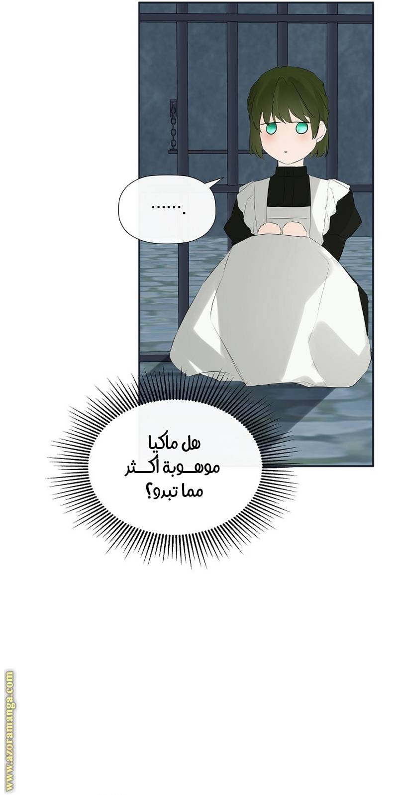 الصفحة 13
